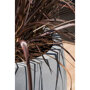 Pottery Pots Natural Bond ronde plantenbak grijs detail